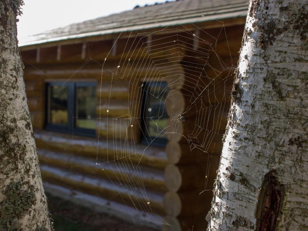 Villa Reves De Bois Loubeyrat Esterno foto